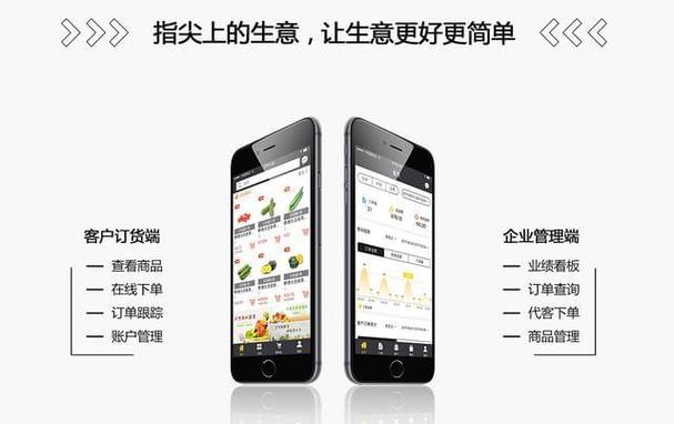 經(jīng)銷商須客觀了解b2b訂貨系統(tǒng)價值時代變遷你已不是局外者