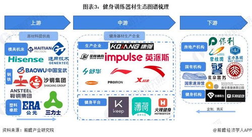 預(yù)見2024 2024年中國(guó)健身訓(xùn)練器材行業(yè)全景圖譜 附市場(chǎng)規(guī)模 競(jìng)爭(zhēng)格局和發(fā)展前景等