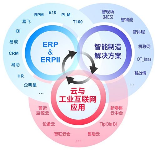 鼎捷軟件入選 2021上海軟件和信息技術(shù)服務(wù)業(yè)百?gòu)?qiáng) 名單
