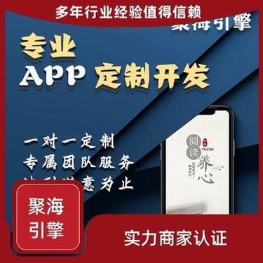 武漢虹旭信息技術(shù)有限責任公司