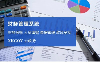 財(cái)務(wù)系統(tǒng)開(kāi)發(fā)企業(yè)報(bào)賬審批系統(tǒng)績(jī)效管理平臺(tái)定制建設(shè)-析客網(wǎng)絡(luò)